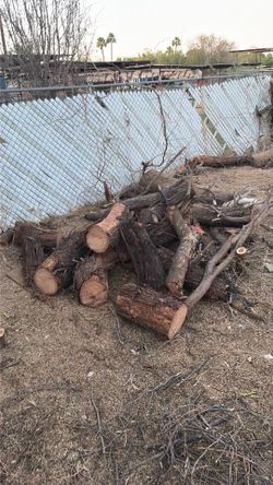 Free mesquite