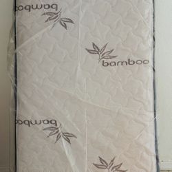 Twin Size Mattress 