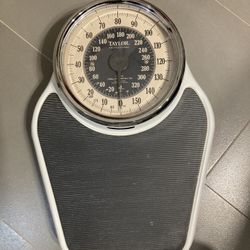 Scale - Up To 400 Lbs 