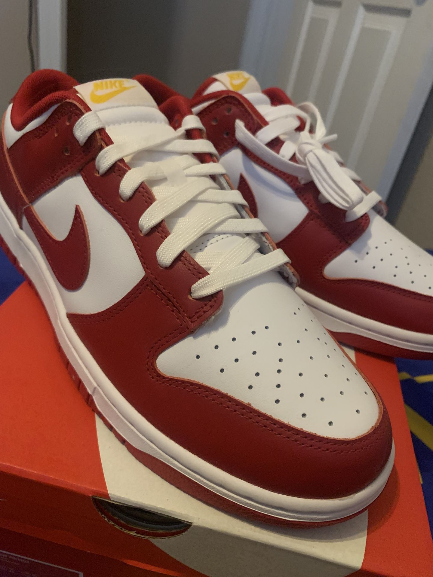 USC Nike Dunks Size 11 ( DS)