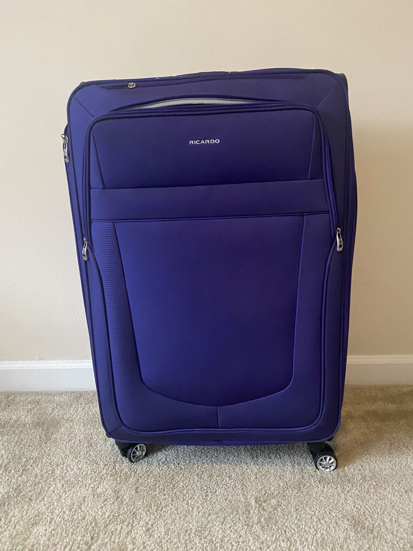 Checked Luggage