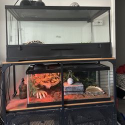 Reptile Enclosures