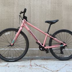 Cannondale Quick 24 
