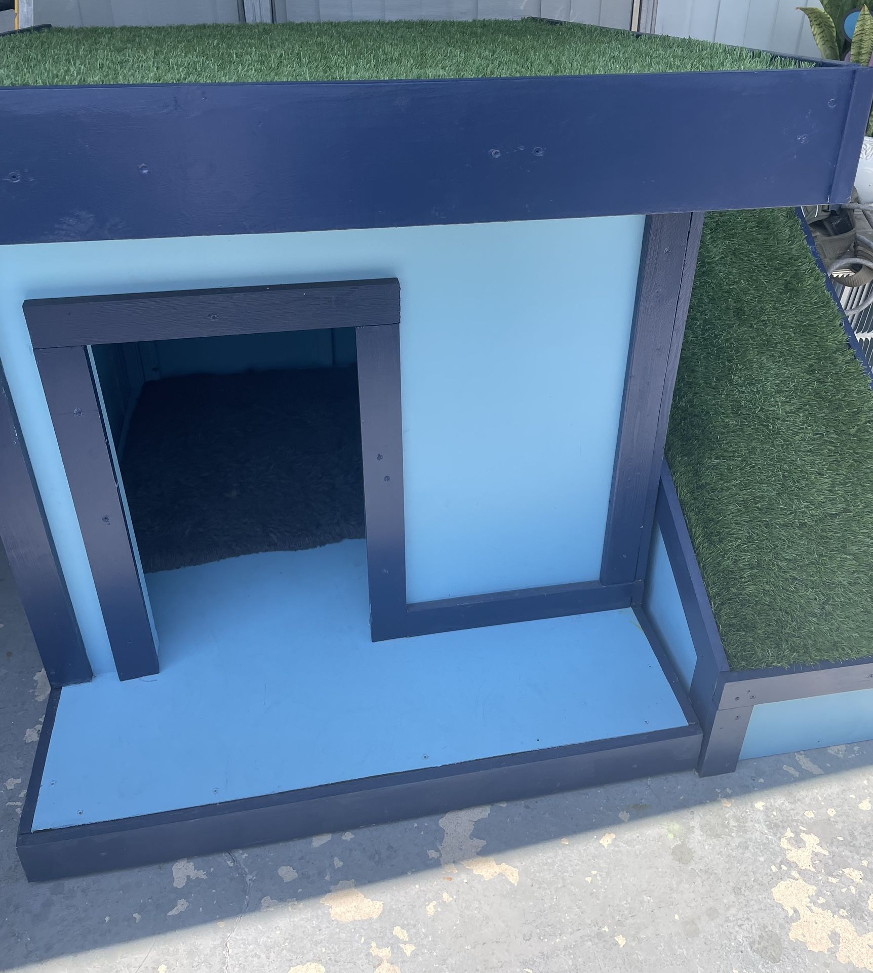 Dog house