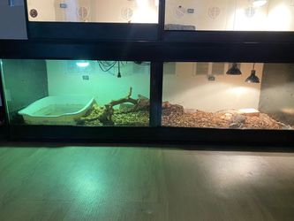 Reptile enclosure 6x2x2