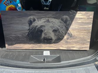 Bear Wall Art Print on Wood Panel