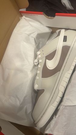 Nike Dunks Gore-Tex
