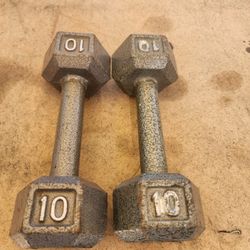 10 L. Dumbbell 