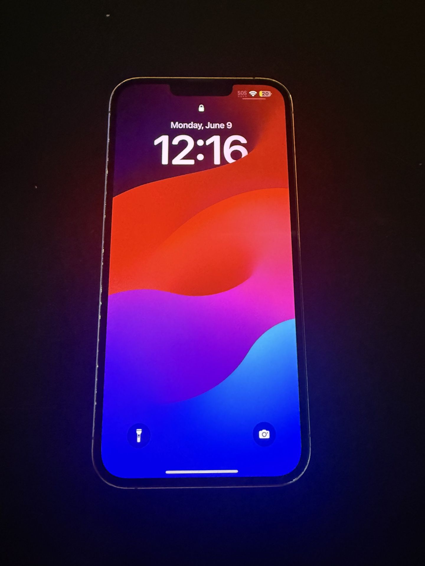 IPHONE 13 PRO MAX 256G
