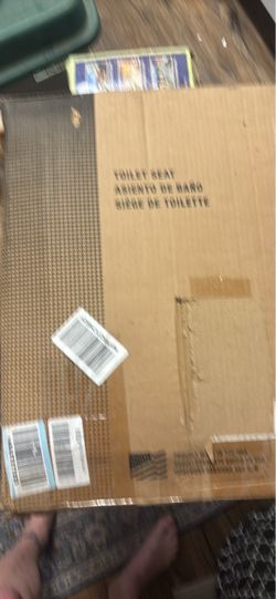 Toilet seat