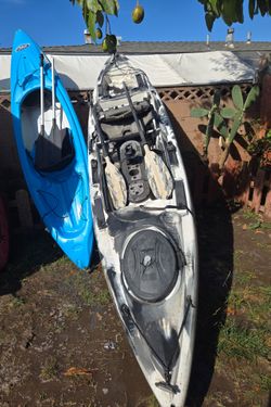 Pelican and ocean kyyak with paddles