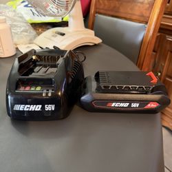 Echo Battery & Charger 