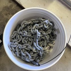 Anchor Chain & Rode