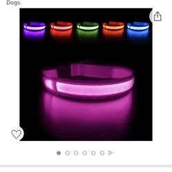 Dog Collar