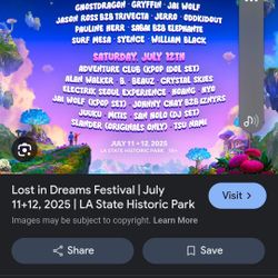 Lost In Dreams Fest