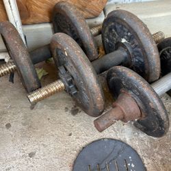 Exercise WeightS 