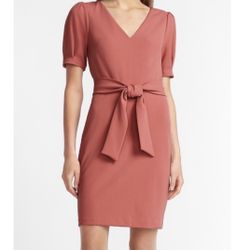 Pink Express Puff Sleeve Dress