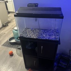 10 Gallon Fish Tank