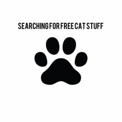 Cat stuff