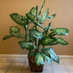 Artificial Zebra Silk Plants. About 41”/3ft. 