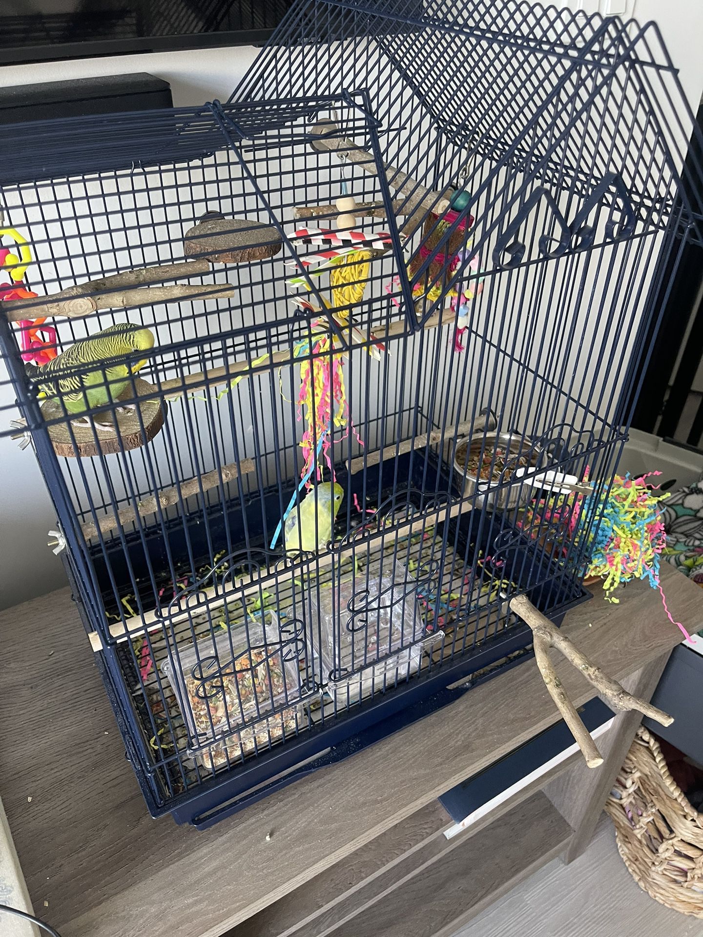 Parrotlet Cage