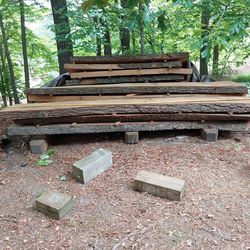 Live Edge Wood Slabs