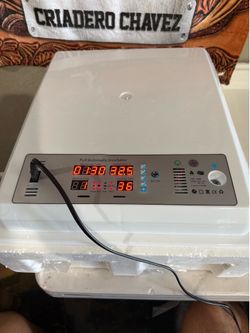 Chicken Incubator