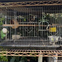 Bird Cage. 