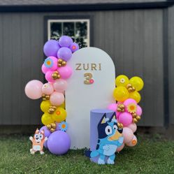 Bluey Birthday Decorations 