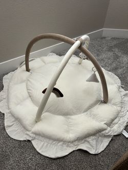 Baby Play Gym