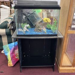 Fish Tank And Stand 