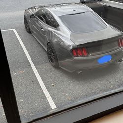 S550 Mustang 2015-2023 Carbon Fiber Trunk