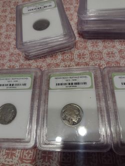 Buffalo Heads & V Nickels