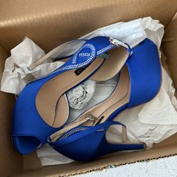 Size 8 Royal Blue Heels