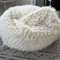 Pottery Barn Bean Bag 