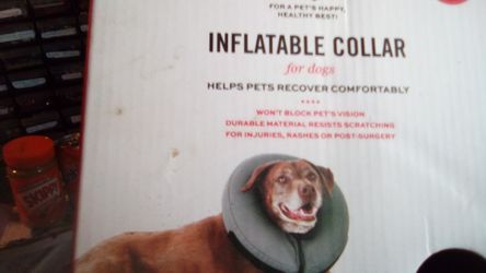 dog inflatable collar