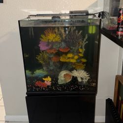 Aqua Top 40 gallon tank 
