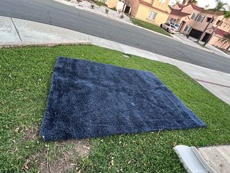 Dark Blue Shag Area Rug