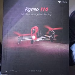 Racing Drone