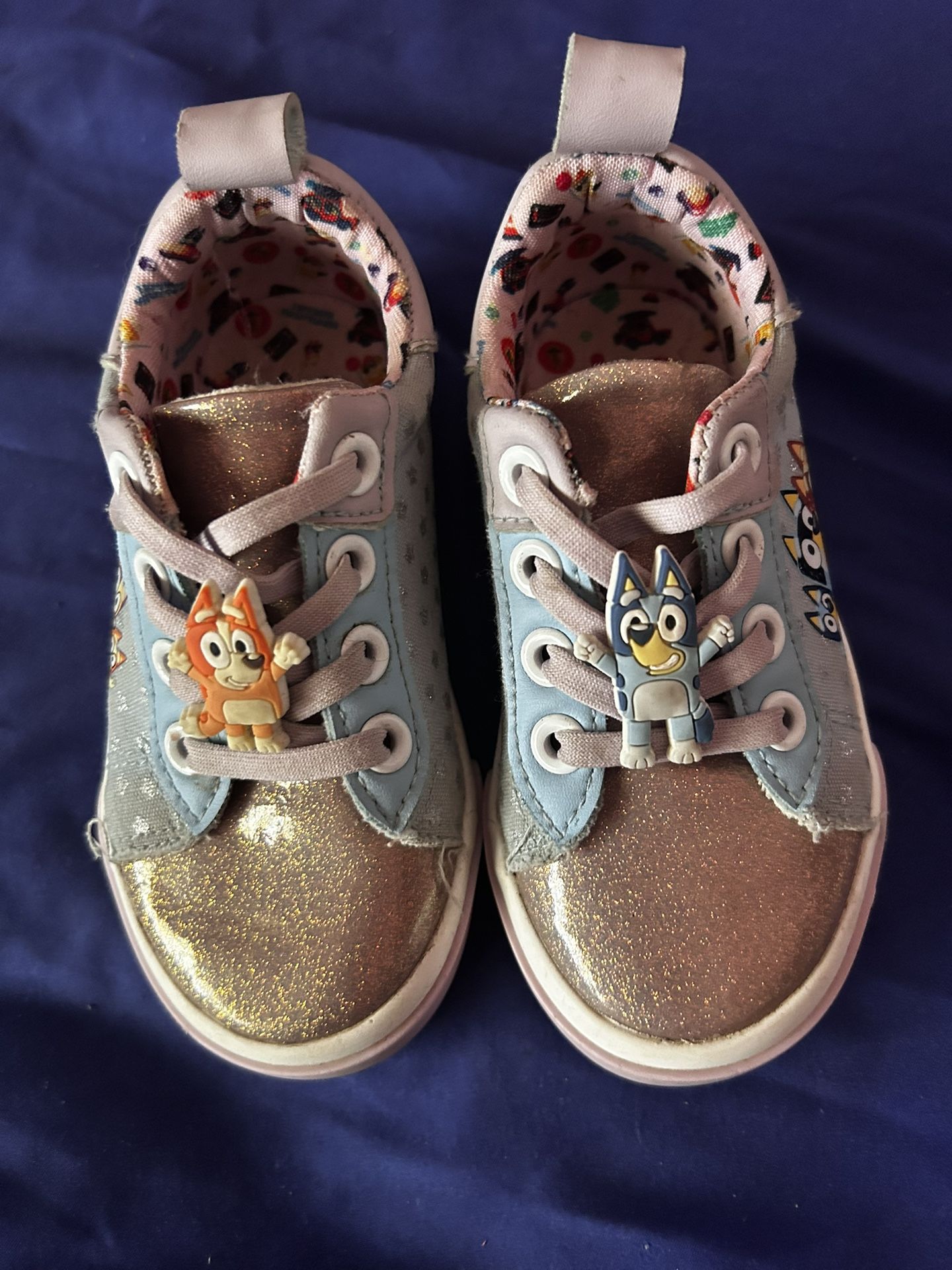 Bluey Shoes 8c
