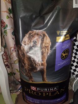 Purina Pro Plan Active Adult