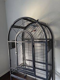 Bird cage
