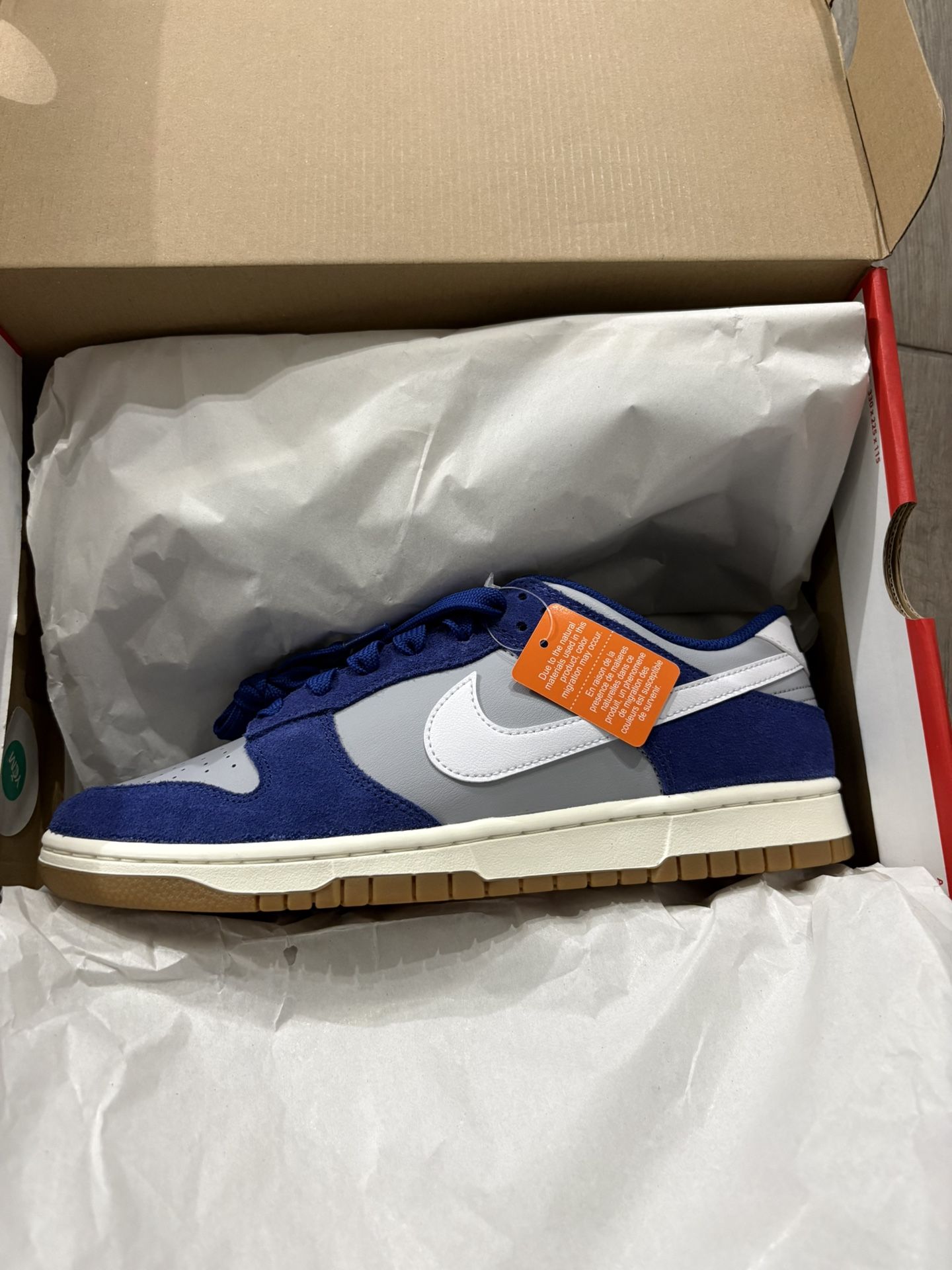 Nike Dunk Low Retro SE Size 10