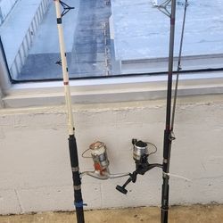 Fishing Pole 