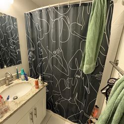 Shower curtain
