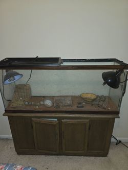 Large Glass Reptile Terrarium