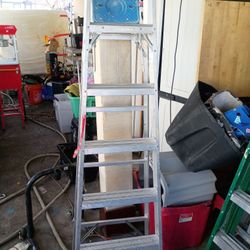 Werner 6ft Ladder