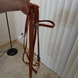 Horse Bridle