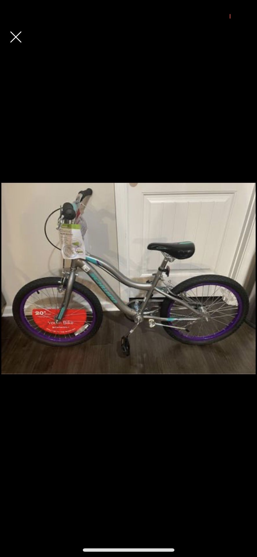 Brand New Schwinn Astrid 20” Girls Bike