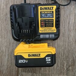 Dewalt 20v Battery 5.0 Ah And Charger Brand New 